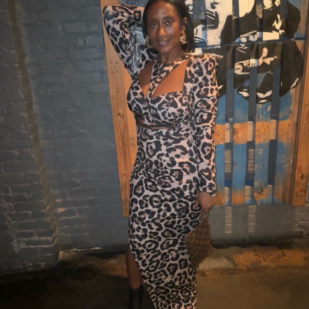 Leopard Print Long Sleeve Dress
